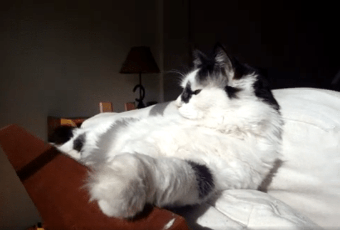 Tomando sol en invierno