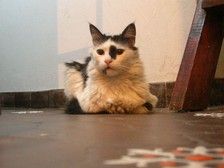 DSCN5637