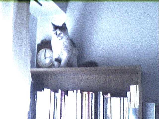 FILE21251